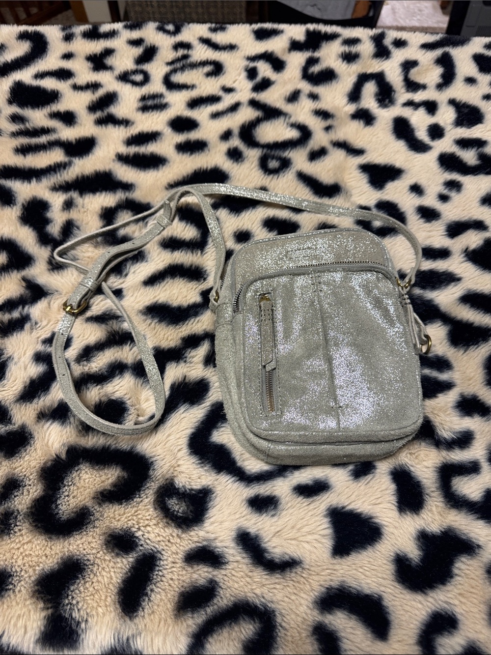 Sparkling Silver Crossbody Bag - Compact Women’s Shoulder Bag